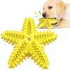 Sea Star Shaped Dog Toothbrush with Sound Pet Teeth Grinding Toy Dog Sound Toy - B - CN