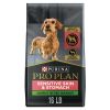 Purina Pro Plan Sensitive Skin and Stomach for Adult Dogs Under 20 lb Salmon 16 lb Bag - Purina Pro Plan