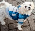 Sporty Vintage Aspen Pet Ski Jacket - Small