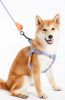 Touchdog 'Macaron' 2-in-1 Durable Nylon Dog Harness and Leash - Purple - Medium