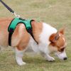 dog harness set; with leas frog leash pet mesh breathable small dog chest back retractable dog leash pet harness - Green frog+traction rope - S