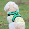 dog harness set; with leas frog leash pet mesh breathable small dog chest back retractable dog leash pet harness - Green frog+traction rope - M