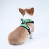 dog harness set; with leas frog leash pet mesh breathable small dog chest back retractable dog leash pet harness - Green frog+traction rope - M