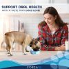 Active Dog Oral 6lb - Oral 6lb