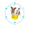 Dog Puzzle Toys Slow Feeder Interactive Increase Puppy IQ Food Dispenser Slowly Eating NonSlip Bowl Pet Cat Dogs Training Game - Green