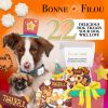 Thankful Themed Dog Treats Gift Box - 22 treats