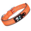 Pet dog collar; diving cloth reflective nylon collar; medium and large dog collar - Color ribbon: orange - S 2.0*(28-38)CM