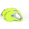 Retractable Pet Leash Automatic with Nylon Ribbon Cord Soft Hand Grip Extendable Traction Rope Break & Lock System - green 5M