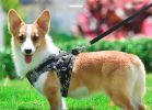 Dog Reflectorized Harness Set Dragon Pattern Safety Vest Adjustable Harness Pet Training Accessories - gold - M