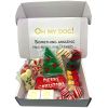 Christmas Themed Dog Treats Gift Box - 18 Treats